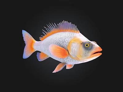 Colorful Aquatic Fish with Orange Red Fins Silver Body Purple Dorsal Fin and Yellow Eyes 3d model