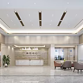 Modern Medical Examination Center Lobby With Front Desk Seating And Green Plant Decor