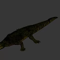 Large Crocodile with Open Mouth Sharp Teeth and Yellow Eyes in Natural Green Habitat