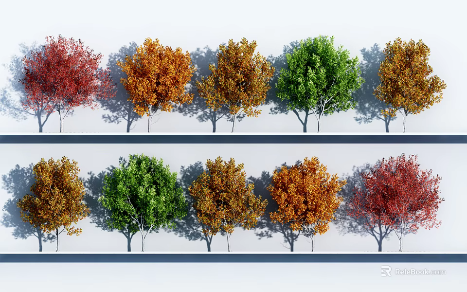 Arbor Trees With Different Colored Leaves Arranged In Rows For Landscape Design 3d model 
