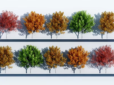 Arbor Trees With Different Colored Leaves Arranged In Rows For Landscape Design 3d model