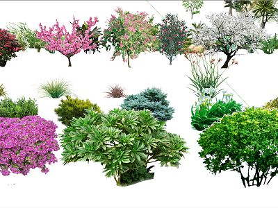 Modern Tree Plants model