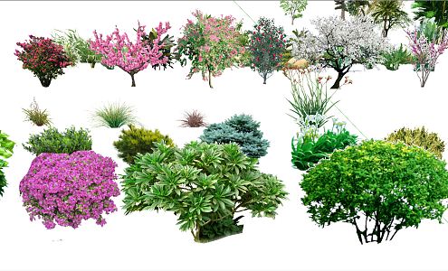 Modern Tree Plants 3d model