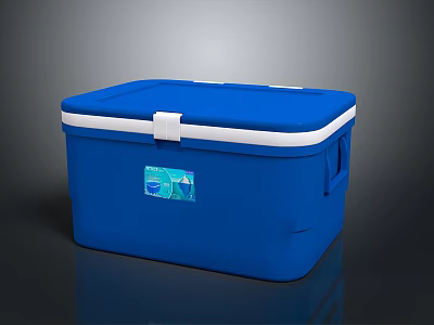 Blue Insulated Cooler Box With White Lid Handle And Label For Daily Necessities 3d model