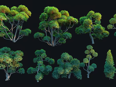 Diverse Arbor Varieties With Lush Green Foliage And Unique Shapes For Outdoor Landscaping 3d model