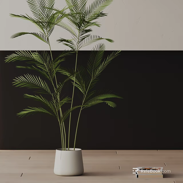 Indoor Potted Plant With Long Green Leaves In White Pot On Wooden Floor 3d model 