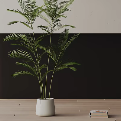 Indoor Potted Plant With Long Green Leaves In White Pot On Wooden Floor 3d model