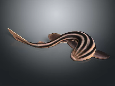Black and Brown Striped Fish with Streamlined Body Long Tail and Fins 3d model