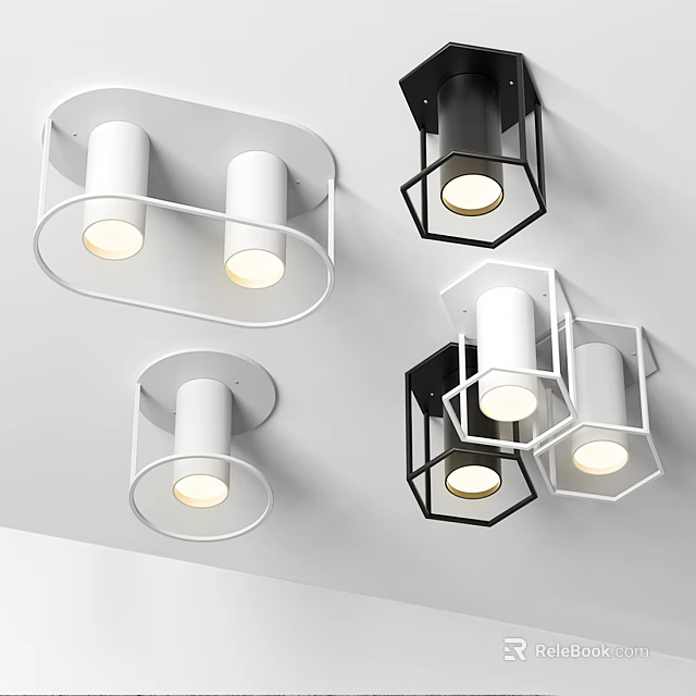 Modern Downlights And Spotlights With White Black Frames And Dual Head Design For Interior Lighting 3d model
