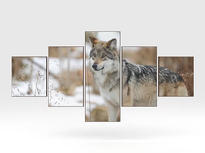 Five Panel Realistic Wolf Animal Painting With Snowy Natural Background Details 3d model