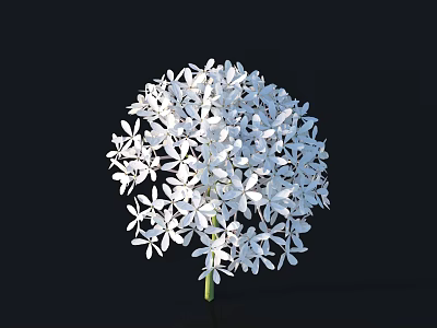 White Flower Ball Composed of Many Small White Flowers With Green Stem Against Black Background 3d model