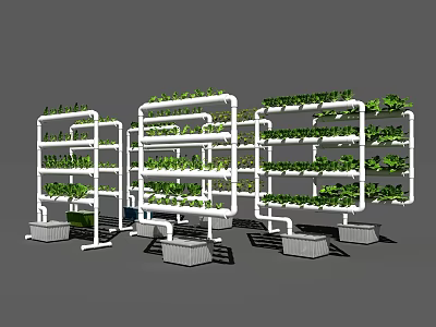 Vertical Farming Agricultural Equipment With Multi Layered Plant Racks And Green Vegetables 3d model