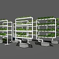 Vertical Farming Agricultural Equipment With Multi Layered Plant Racks And Green Vegetables