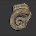 Ancient Natural Spiral Fossil With Rough Stone Texture And Brown Beige Hues