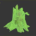 Natural Weathered Tree Stump With Green Moss And Exposed Roots Texture