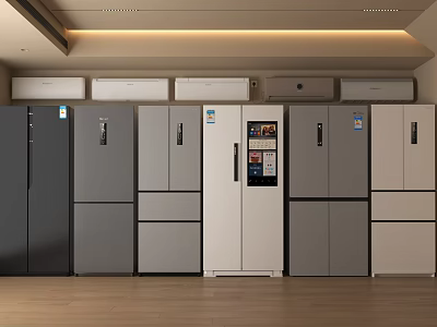 Modern Various Style Refrigerators In Gray And White For Indoor Showroom 3d model