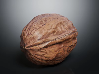 Fresh Whole Walnut With Natural Textured Shell On Dark Background 3d model