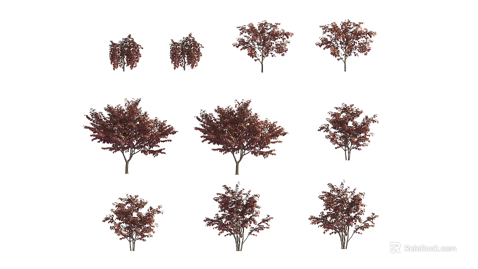 Various Ornamental Trees With Dark Red Foliage for Garden Landscaping Design 3d model 