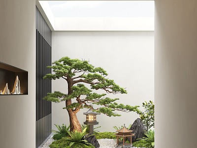 Indoor Landscape Landscaping Landscape Landscaping Landscape Plants Moss Landscape Patio Landscape Setches 3d model