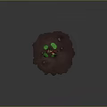 Vibrant Sunflower Plant Growing with Green Leaves in Soil and Small Stones