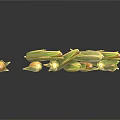 Fresh Corn Cobs in Green Husks Pile on White Background 3d model