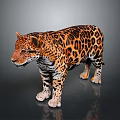 Detailed 3D Render Leopard With Spotted Fur Standing On Gray Background