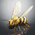 Detailed Yellow and Black Striped Bee with Transparent Wings on Dark Background