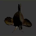 Brown And Yellow Aquatic Fish With Striped Body Fins And Long Tail
