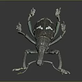 Black And White Spotted Beetle With Long Legs On Dark Reflective Background 3d model