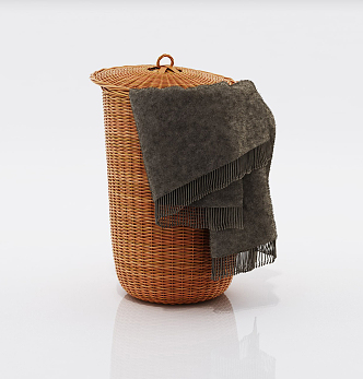 Modern Storage Basket Rattan Basket 3d model