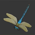 Colorful Dragonfly With Green Blue Body And Transparent Wings On Dark Background With Reflection