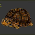 Artistic Painted Turtle With Geometric Patterns On Vibrant Orange Brown Shell