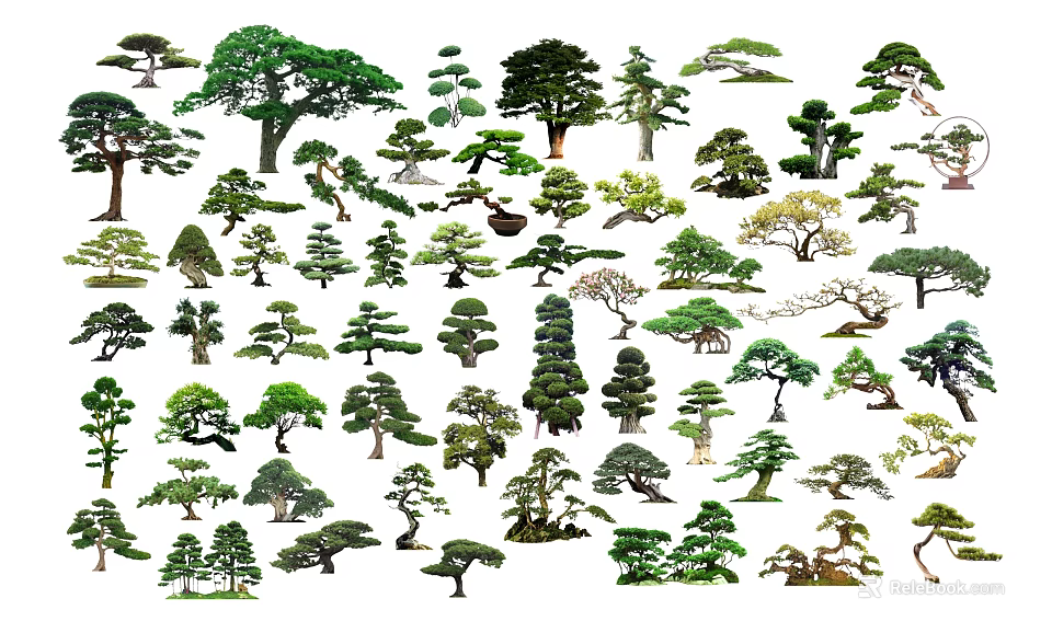 Diverse Arbor Trees With Various Forms And Foliage For Landscape Design 3d model 