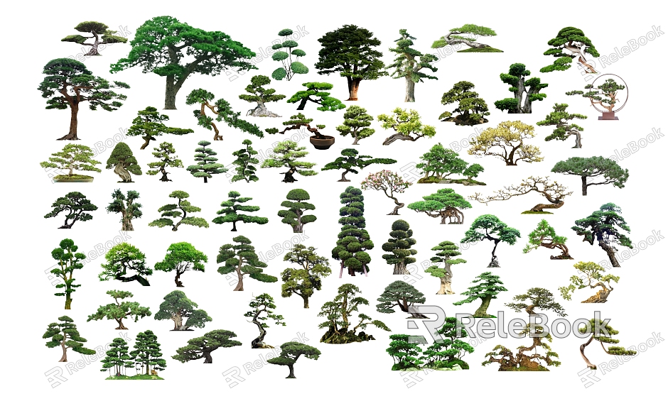 New Chinese pine tree modeling tree model