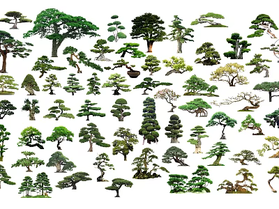 Diverse Arbor Trees With Various Forms And Foliage For Landscape Design 3d model