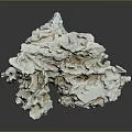 Natural White And Beige Rock Formation With Irregular Complex Surface Texture