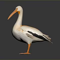 White Pelican Figurine With Orange Beak Feet And Black Wing Tips On Dark Background