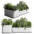 Stylish White Flower Planters With Lush Green Plants For Outdoor Garden Decoration