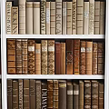 Wooden Bookshelf With Multiple Shelves And Neatly Arranged Various Colored Books