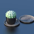 Green Cactus Set In Black Cup With Round Wooden Trays On Dark Surface