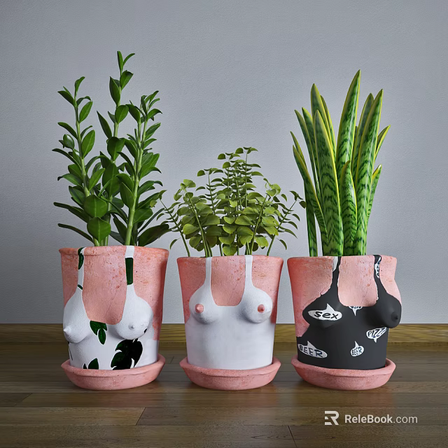 Bonsai Potted Plants with Unique Chest Shaped Pink White Black Pots and Green Leafy Foliage 3d model 