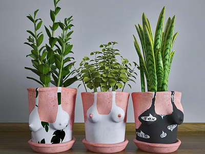 Bonsai Potted Plants with Unique Chest Shaped Pink White Black Pots and Green Leafy Foliage 3d model