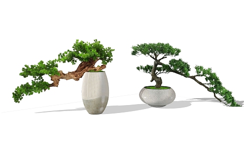 New Chinese Bonsai Pile Head Ornaments Plant Vase 3d model