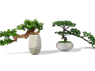 New Chinese Bonsai Pile Head Ornaments Plant Vase 3d model