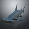 Hammerhead Shark 3D Model With Distinctive Head Shape And Realistic Physical Features 3d model