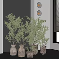 Indoor Bonsai Potted Plants With Green Leaves In Terracotta Pots Near Window And Round Lights