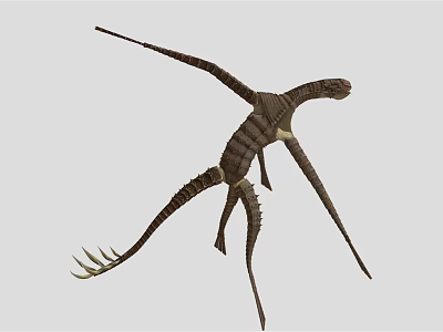 Realistic 3D Model Of Pterosaur With Long Wings Slender Body And Long Tail Flying 3d model