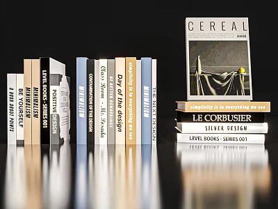 Row of Books and Stacked Magazines Including Cereal and Le Corbusier Publications 3d model