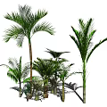 Modern Trees 3d model