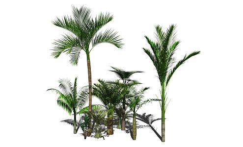 Modern Trees 3d model